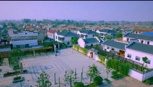 党建引领特色农业大发展